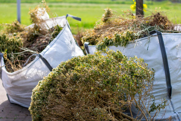 Best Shed Removal  in Bel Ridge, MO